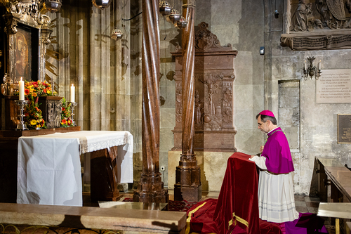 Erzdiözese Wien/ Schönlaub, Stephan Schönlaub